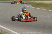 DSC_0007 (3)